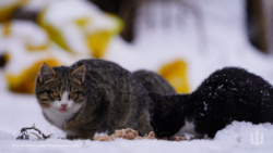 41c126e5-da80-49df-84a3-2ac015752b38