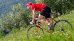 b6b49900-1fb2-4364-af29-3c75c00ab204