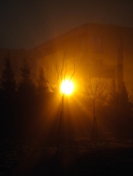 6082d459-c8da-40fd-a1a7-7b16efa6a6e5