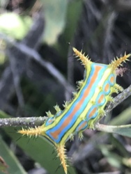 000c5b13-835c-4778-90ce-24696dcc6cb3