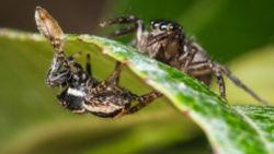 7e2d21ca-5674-4f3e-9506-beba5b9db75c