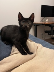 23a33028-b85b-4276-a7e9-5d64aea40d1e