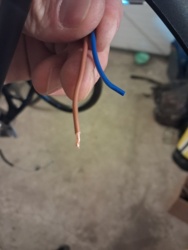 8aa6ccf3-686a-4a0a-8a1b-f8cbd2f5f4c5