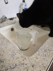 42e7d5a7-cc95-4309-933d-bfff4455a20d