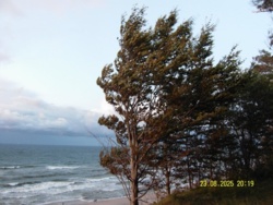 b2e3212e-8200-4893-8580-f95707fd3a66