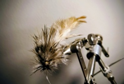 c1809b72-8140-4bab-9dfe-51139974caa1