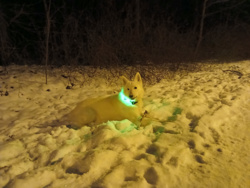 154e4bb2-d0e5-46dc-90ee-ed9116f93ece