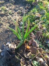 4b116297-cdfd-4a93-977c-4a98814f42bf