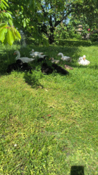 c73b1dd1-19b9-4835-b689-54cac576af00