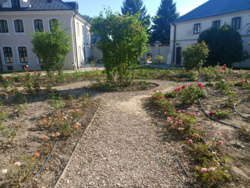 228f8e07-74a8-4003-9495-0266198e2f63