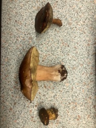 ba68df8d-f68a-4b98-a70a-d4671eb5464d