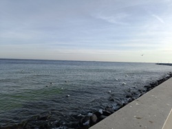 95c2e653-14a8-4e3f-96bc-5f2c604b4486