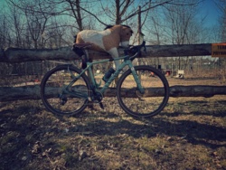 e9e38136-4375-47f1-8e2f-0ae120a19972