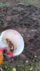 6d60077c-79c4-4985-bd7c-92d7b7ab83d6