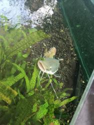 5626777a-8b3a-42e9-9ada-a4010dcee136