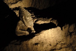 Duchy podziemnych korytarzy