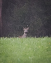 dcc9e7f4-7c14-4e35-bb73-8dfcc5461f0f