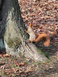 7bb040a2-c22f-49d4-a1ad-09bd0fd82b7e