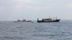 Chińska łódź przejęta, kapitan aresztowany. Akcja służb u wybrzeży Japonii
