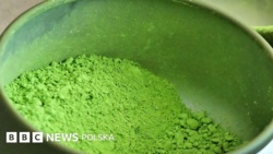 Szał na matchę: japońscy sprzedawcy ostrzegają przed niedoborami - BBC News Polska