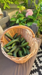 1209e692-edb8-43a3-9b4c-02537b787874