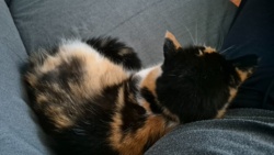 8097f610-f061-41f4-9104-0e1ef81a527f