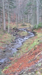 11a2d695-059a-43bb-bc97-93c6c01ce547