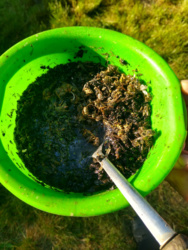 d7bb7e41-b028-408f-9a73-919d7c07269a