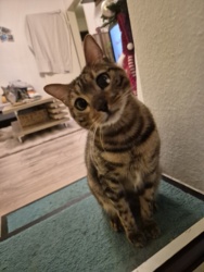 9b3eb0fe-bbdb-48df-904d-6d9e4c1b632d