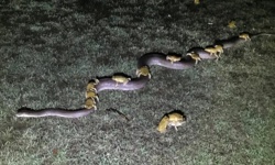 9010332c-2b05-4c78-a4ce-78aa2c2113fe