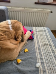 77a53783-3684-49c5-bfa1-c743dd51c9d3