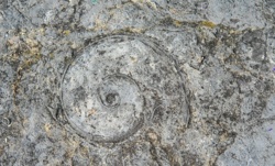 af06d4da-a650-483f-adc2-28e016faf932