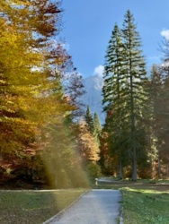 51bf95f5-c803-4302-bfc1-6f0e8201b702