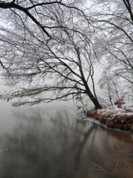 5d9d55f0-6fd0-4bcc-8613-ea50374c1af4