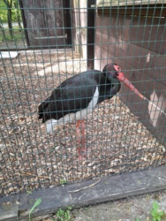 fbf92c31-0402-46df-b03f-ac9280dc692f