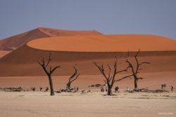 Sesriem w Namibii, Sossusvlei i Deadvlei - najbardziej znane miejsce w Namibii • Rudeiczarne