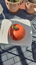 986b1a92-a89b-4c76-833b-57fa172f58f4