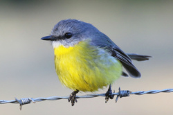 1242b976-7d25-46ca-a850-504f2a2f4d1e