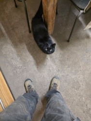 dcddd656-20a6-4176-ace9-b6dbd6477869