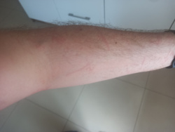 a280ba6e-2afb-420c-a4d8-2ed1469d0574