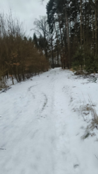 d112a6d2-18c4-4890-a102-861f9ee4ccb9