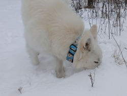 551805b3-7938-4135-8208-5d708735c0e8