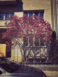 c496fba0-dffa-4f4a-9ee6-59924f09dd28