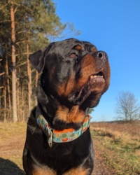 2920b70e-e765-4c34-a21a-690d9f0da6d3