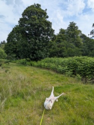 df9d093a-49f2-4c2a-9924-201a220ddf99