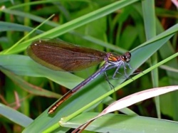 196303d5-96cd-4406-9702-ea586527b7b1