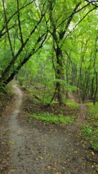 427ca3e3-5807-46b4-99ed-72f975566645