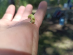 9482c36c-5097-40d7-925e-706a0eb2882c