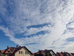 25283a21-fe4a-436e-ad19-43f8c7848474