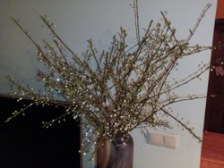 7442887b-a998-49a0-b654-b652dd540cf9